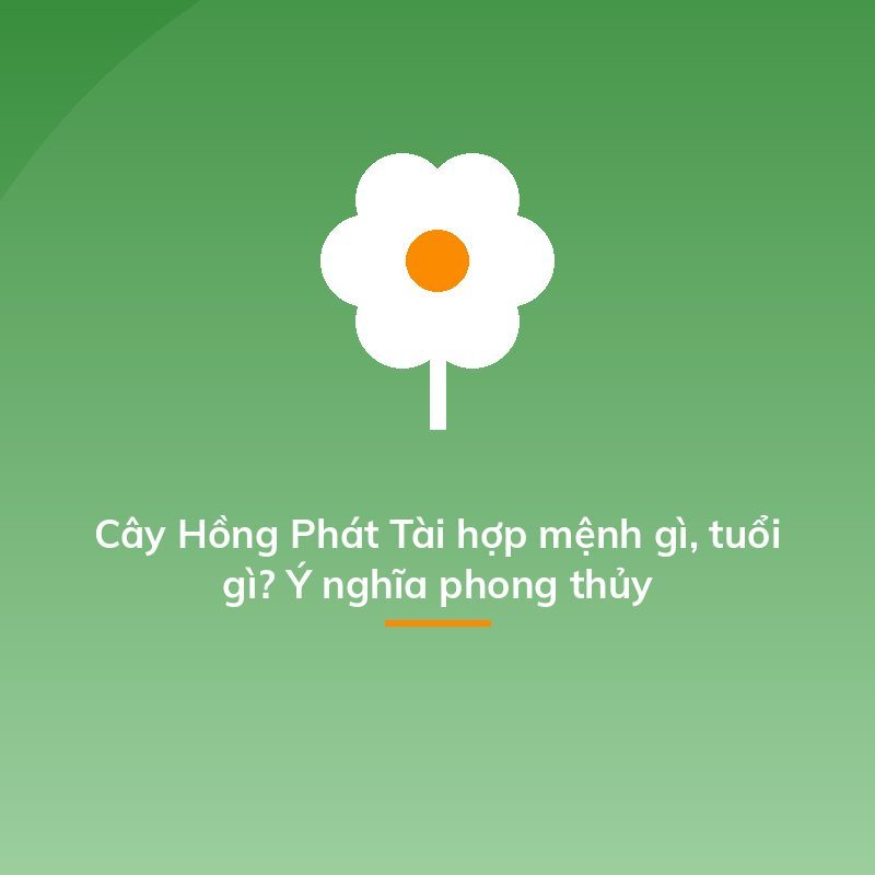 Cây Hồng Phát Tài hợp mệnh gì, tuổi gì? Ý nghĩa phong thủy