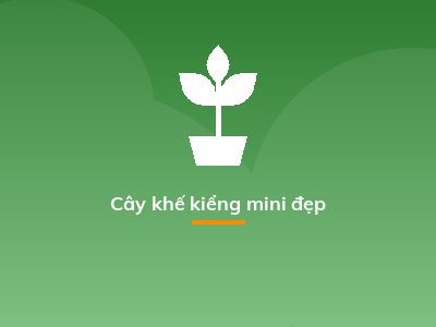 Cây khế kiểng mini đẹp