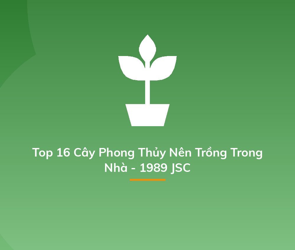 Top 16 Cây Phong Thủy Nên Trồng Trong Nhà - 1989 JSC