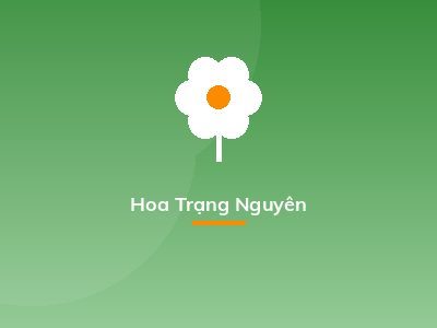 Hoa Trạng Nguyên