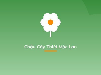 Chậu Cây Thiết Mộc Lan