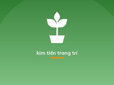 kim tiền trang trí