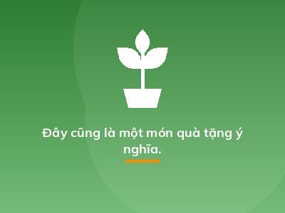 Đây cũng là một món quà tặng ý nghĩa.