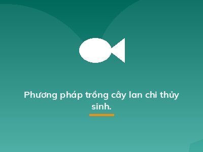 Phương pháp trồng cây lan chi thủy sinh.