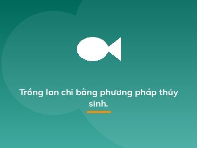 Trồng lan chi bằng phương pháp thủy sinh.