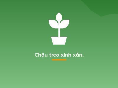 Chậu treo xinh xắn.