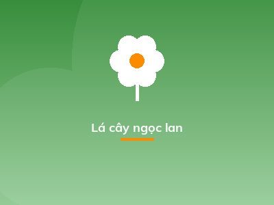 Lá cây ngọc lan