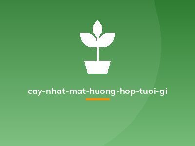 cay-nhat-mat-huong-hop-tuoi-gi