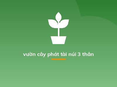 vườn cây phát tài núi 3 thân