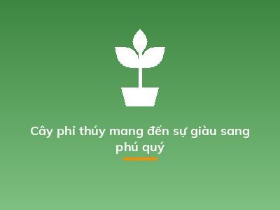 Cây phỉ thúy mang đến sự giàu sang phú quý