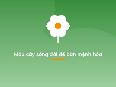 Mẫu cây sống đời để bàn mệnh hỏa