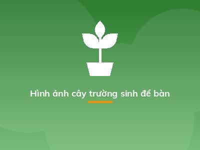 Hình ảnh cây trường sinh để bàn