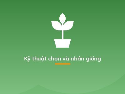 Kỹ thuật chọn và nhân giống