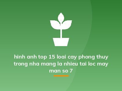 hinh anh top 15 loai cay phong thuy trong nha mang la nhieu tai loc may man so 7