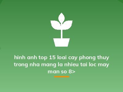 hinh anh top 15 loai cay phong thuy trong nha mang la nhieu tai loc may man so 8>