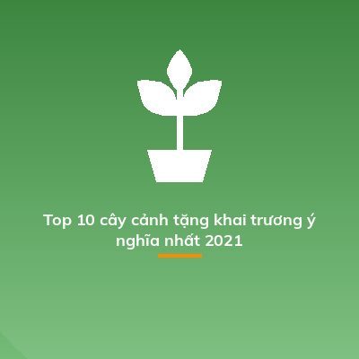 Top 10 cây cảnh tặng khai trương ý nghĩa nhất 2021