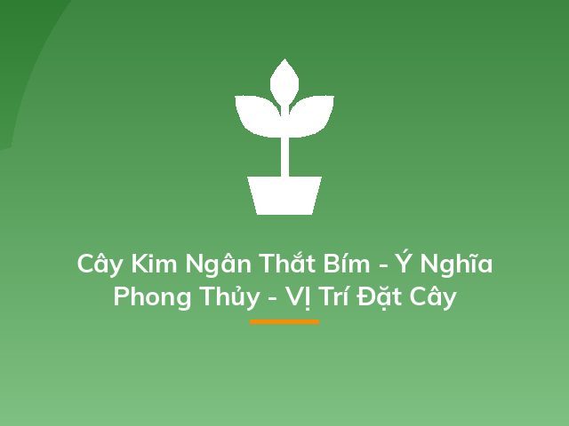 Cây Kim Ngân Thắt Bím - Ý Nghĩa Phong Thủy - VỊ Trí Đặt Cây