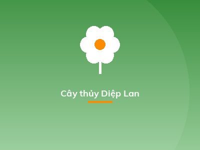 Cây thủy Diệp Lan