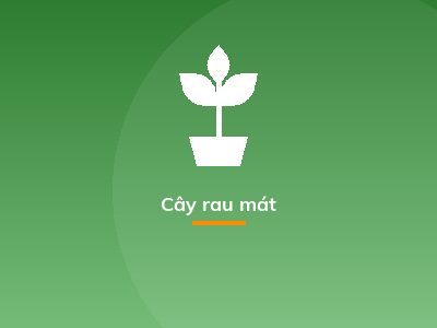 Cây rau mát