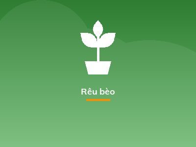Rêu bèo