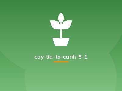cay-tia-to-canh-5-1