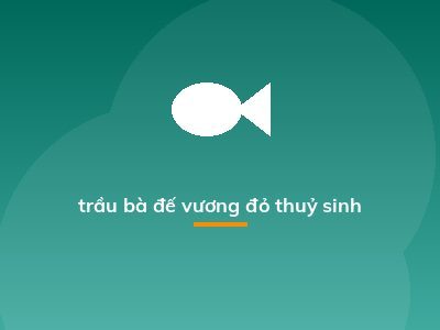 trầu bà đế vương đỏ thuỷ sinh
