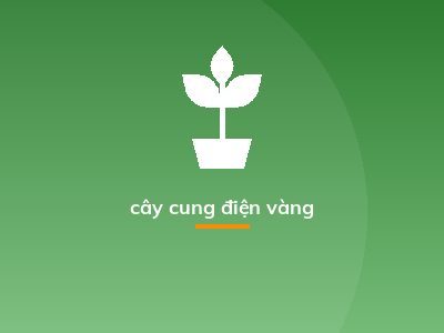cây cung điện vàng