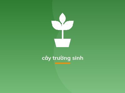 cây trường sinh