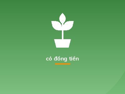 cỏ đồng tiền