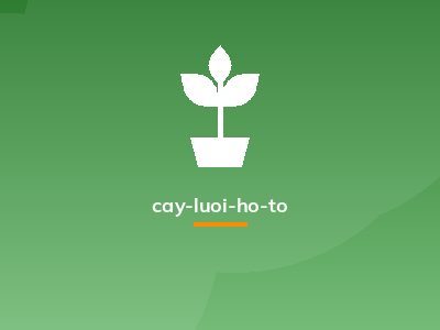 cay-luoi-ho-to