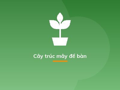 Cây trúc mây để bàn