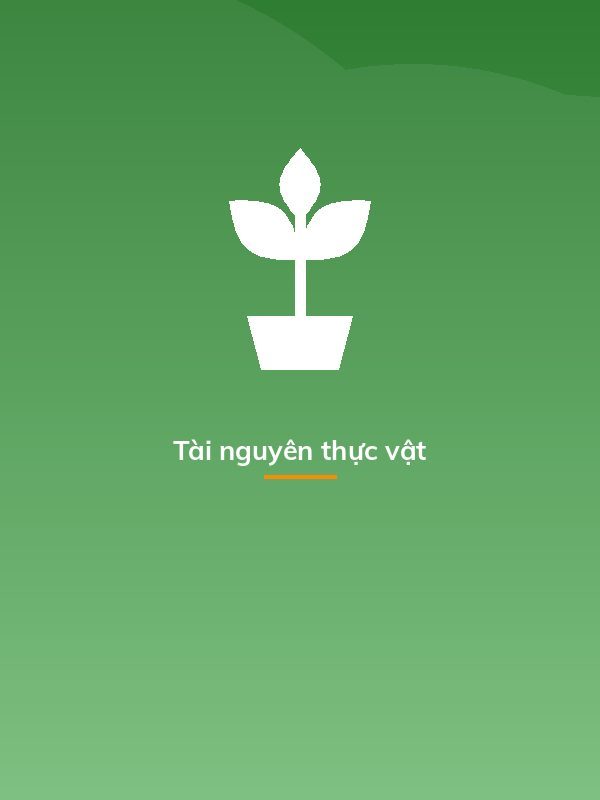 Tài nguyên thực vật
