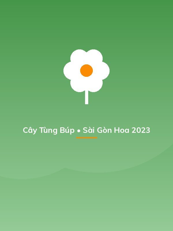 Cây Tùng Búp • Sài Gòn Hoa 2023