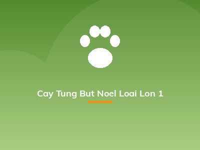 Cay Tung But Noel Loai Lon 1