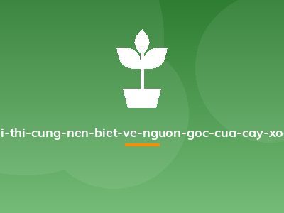 La-ai-thi-cung-nen-biet-ve-nguon-goc-cua-cay-xoan-2