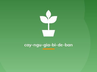 cay-ngu-gia-bi-de-ban