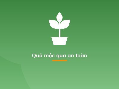 Quả mộc qua an toàn