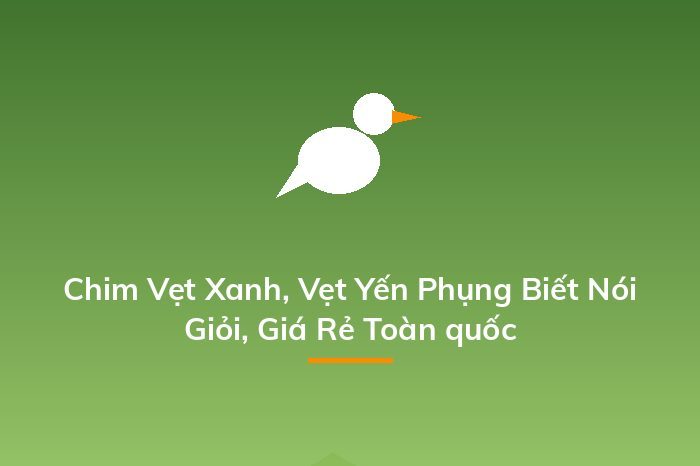 Chim Vẹt Xanh, Vẹt Yến Phụng Biết Nói Giỏi, Giá Rẻ Toàn quốc