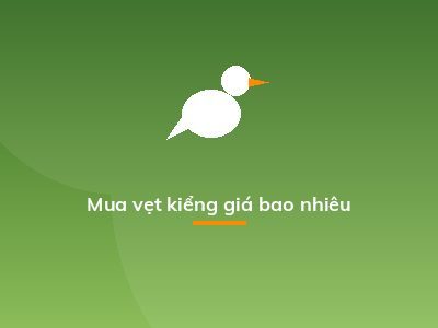 Mua vẹt kiểng giá bao nhiêu