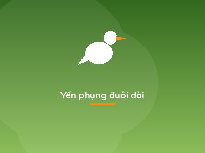 Yến phụng đuôi dài
