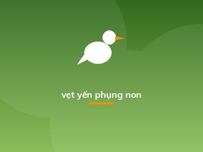 vẹt yến phụng non