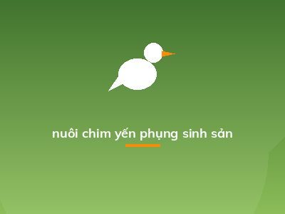 nuôi chim yến phụng sinh sản