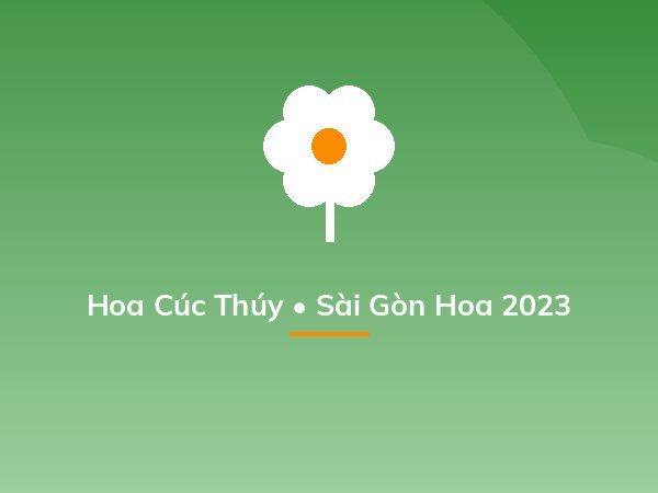 Hoa Cúc Thúy • Sài Gòn Hoa 2023