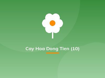 Cay Hoa Dong Tien (10)