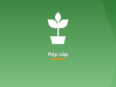 Rệp sáp