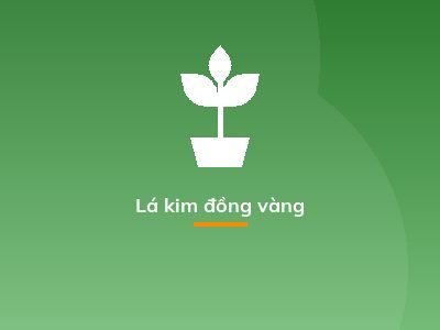 Lá kim đồng vàng