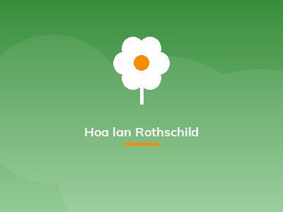 Hoa lan Rothschild