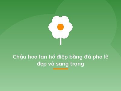 Chậu hoa lan hồ điệp bằng đá pha lê đẹp và sang trọng