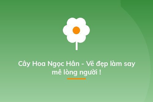 Cây Hoa Ngọc Hân - Vẽ đẹp làm say mê lòng người !