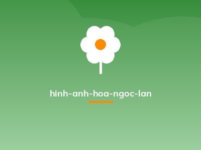 hinh-anh-hoa-ngoc-lan